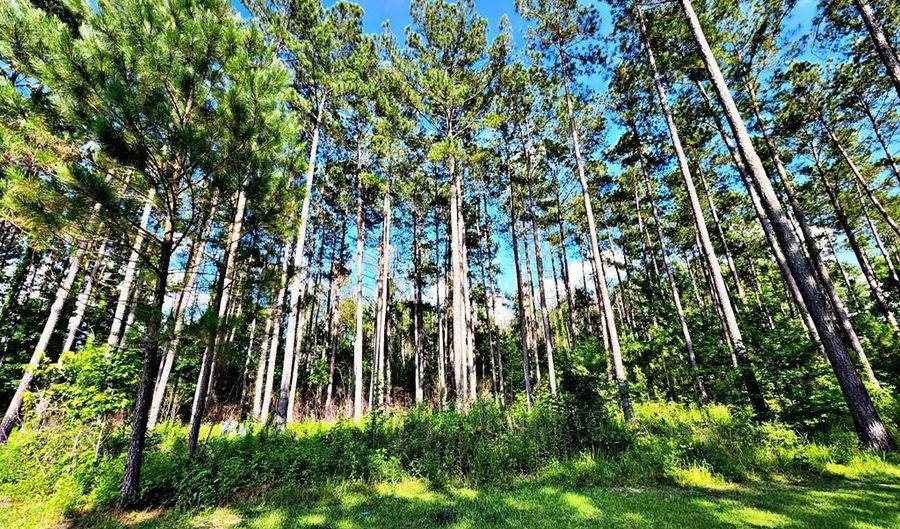 1570 Shelby Ln, Bogue Chitto, MS 39629 - 0 Beds, 0 Bath