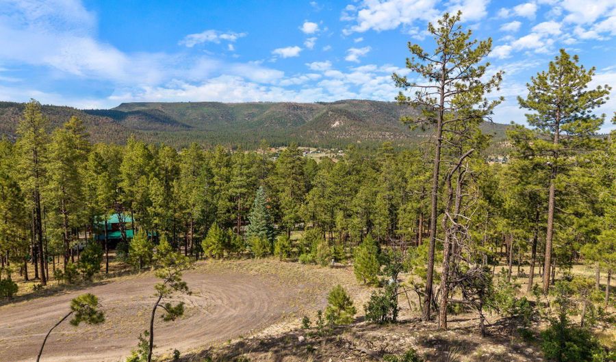 CR 2193, Alpine, AZ 85920 - 0 Beds, 0 Bath