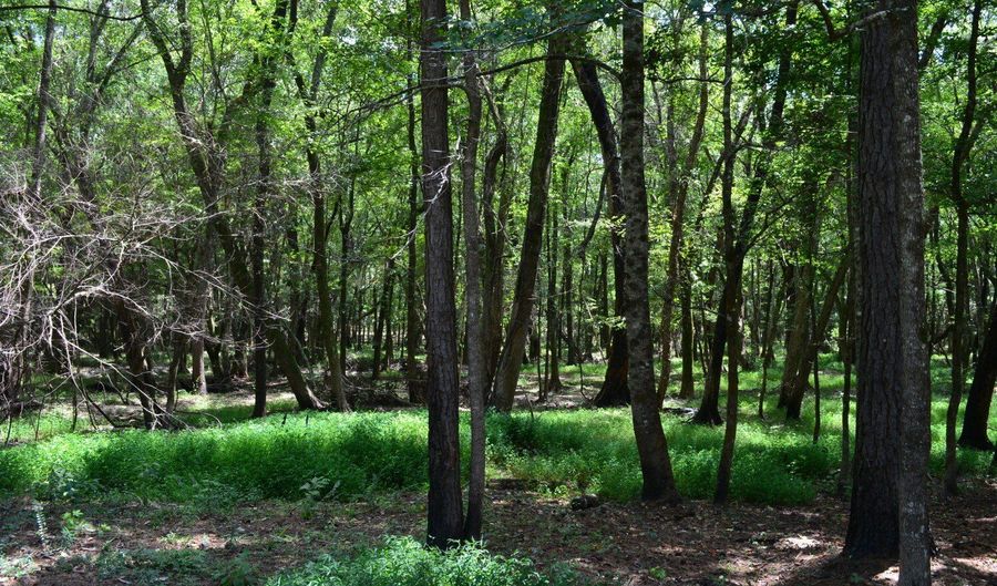 0 County Rd 22, Auburn, AL 36830 - 0 Beds, 0 Bath