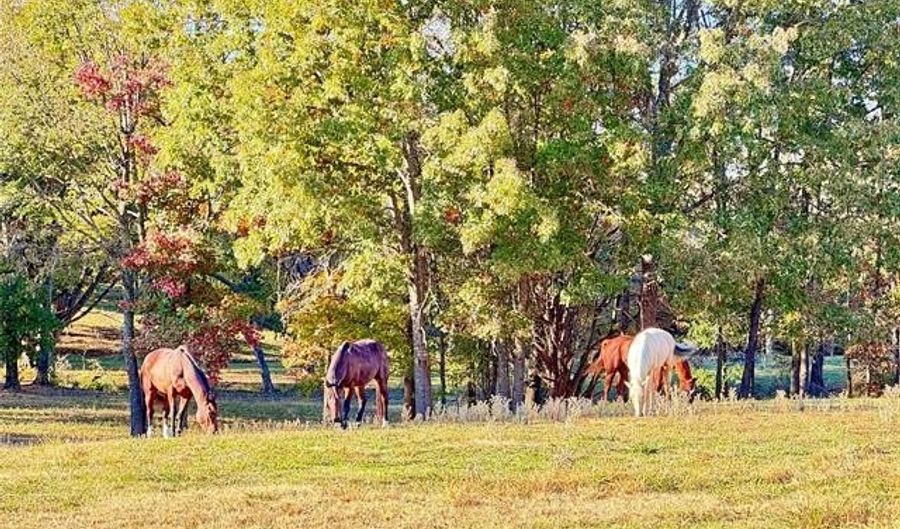 4321 S Bentley Rd, Atoka, OK 74525 - 4 Beds, 3 Bath