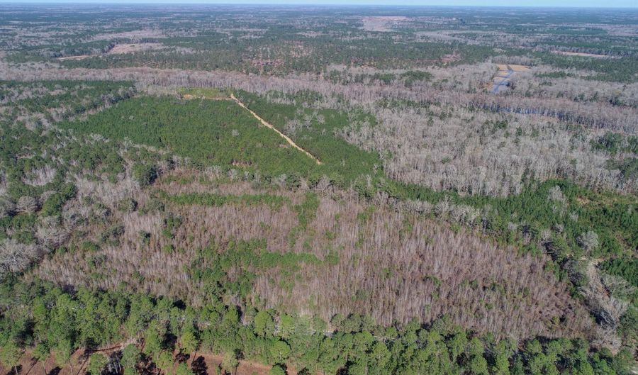 5510 Mauss Hill Rd, Adams Run, SC 29426 - 0 Beds, 0 Bath