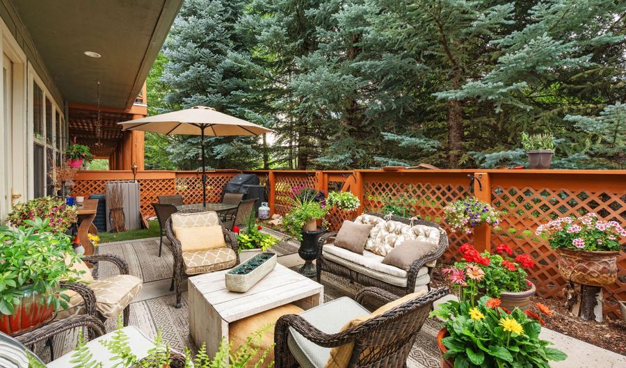 541 Evans Ct, Basalt, CO 81621 - 3 Beds, 4 Bath