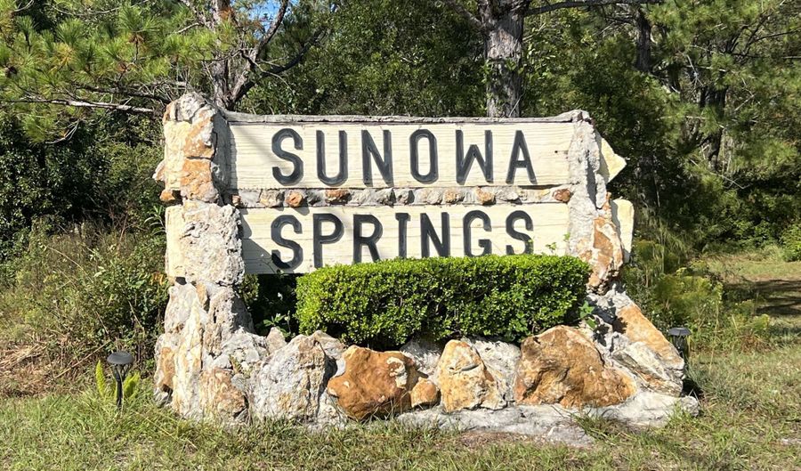 0 SUNOWA SPRINGS Trl, Bryceville, FL 32009 - 0 Beds, 0 Bath
