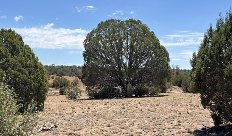 21 Off Of Cooks Trl, Ash Fork, AZ 86320 - 0 Beds, 0 Bath