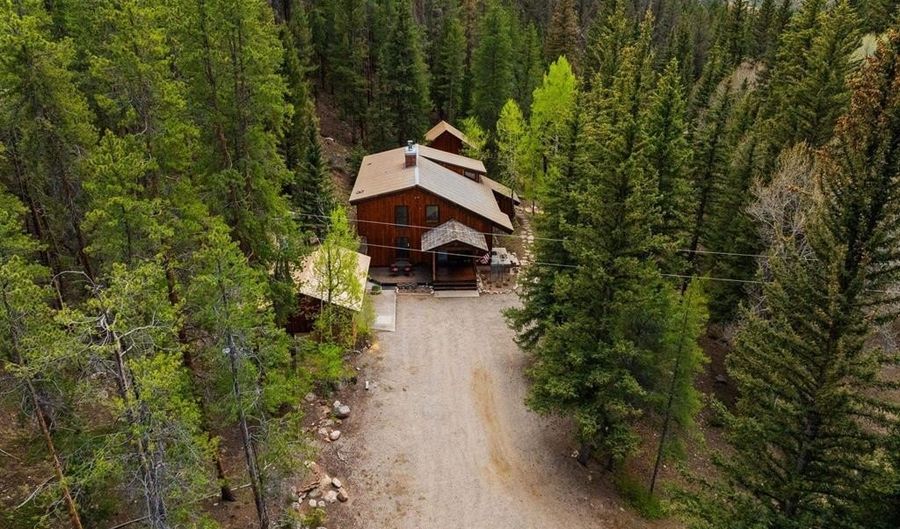 340 County Road 54, Almont, CO 81210 - 4 Beds, 4 Bath