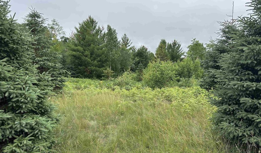 LOT 41 POINT TRAIL, Wisconsin Rapids, WI 54494 - 0 Beds, 0 Bath