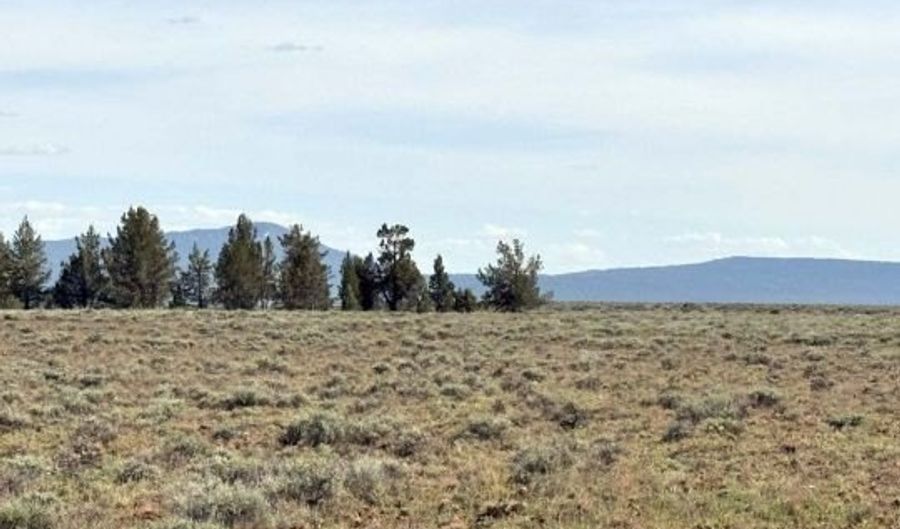 Oregon Pines Road, Beatty, OR 97621 - 0 Beds, 0 Bath