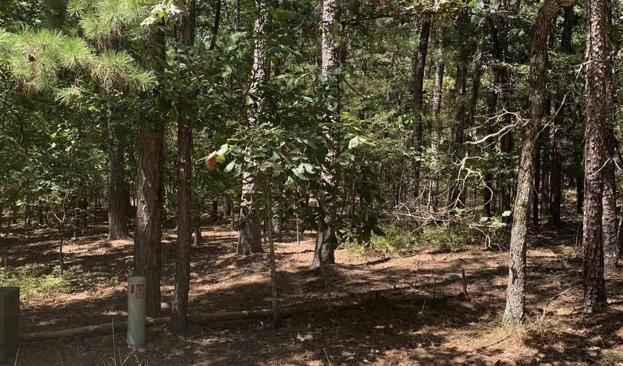 17 Fonsagrada Cir, Hot Springs Village, AR 71909 - 0 Beds, 0 Bath