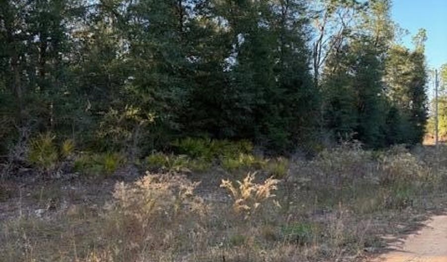 Arpana Circle lot # 1, Alford, FL 32420 - 0 Beds, 0 Bath