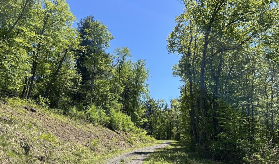 TALLMAN HOLLOW ROAD, Montoursville, PA 17754 - 0 Beds, 0 Bath