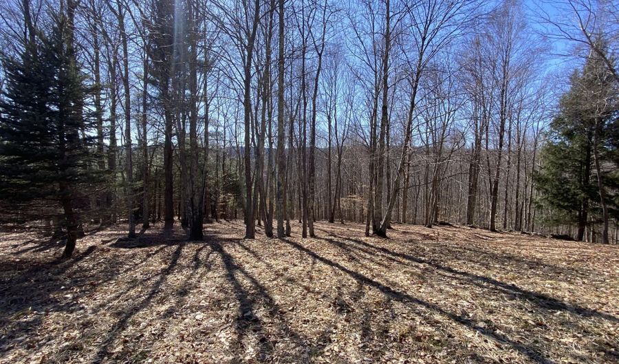 L22.2 Alder Pond Road, Andes, NY 13740 - 0 Beds, 0 Bath