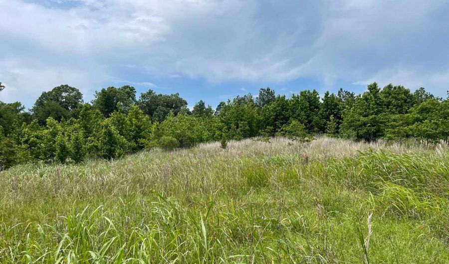 601 Calico Ct, Alberta, AL 36720 - 0 Beds, 0 Bath