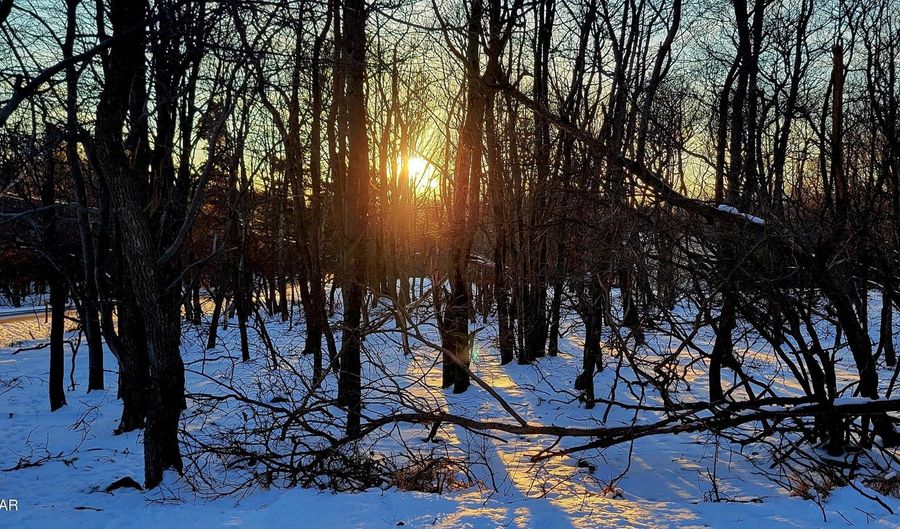 715 Chippewa Trl, Albrightsville, PA 18210 - 0 Beds, 0 Bath