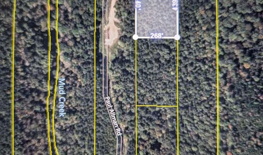 944 PAUL ALLMAN Rd, Adger, AL 35006 - 0 Beds, 0 Bath