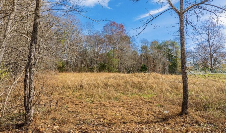 Collins Rd, Blaine, TN 37709 - 0 Beds, 0 Bath
