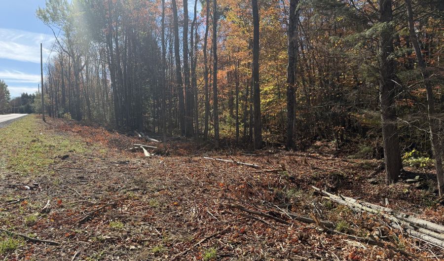 Rand Hill Road, Altona, NY 12910 - 0 Beds, 0 Bath