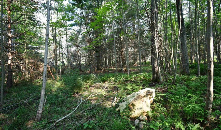 9537 LAKEVIEW Rd, Alanson, MI 49706 - 0 Beds, 0 Bath