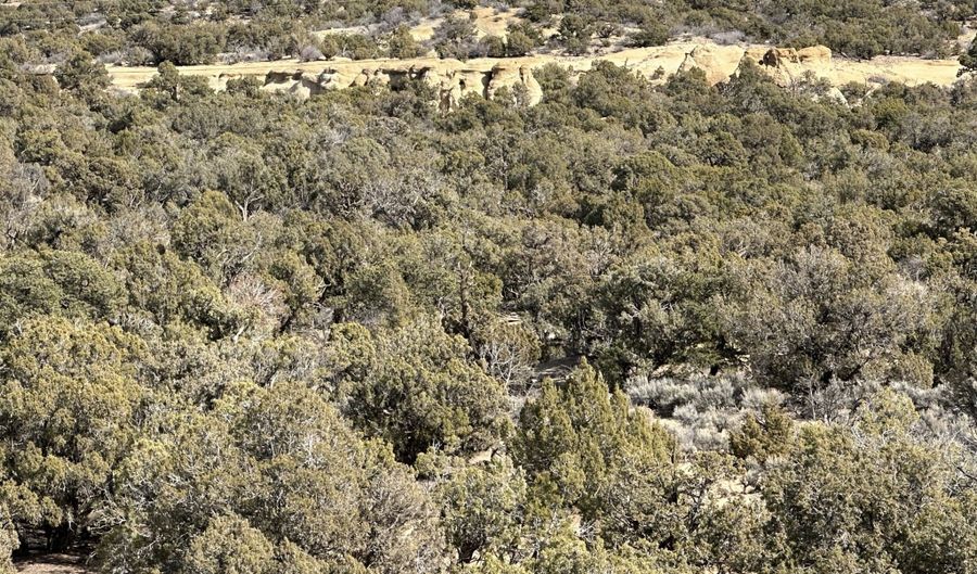 County Road 2550, Aztec, NM 87410 - 0 Beds, 0 Bath