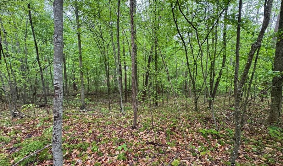 James River Road, Appomattox, VA 24522 - 0 Beds, 0 Bath