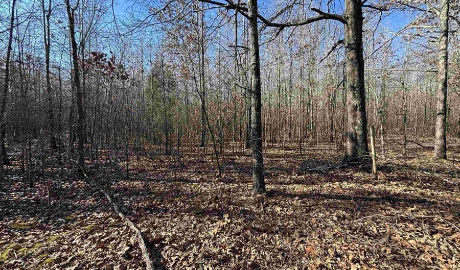 Williams Road, Bald Knob, AR 72010 - 0 Beds, 0 Bath