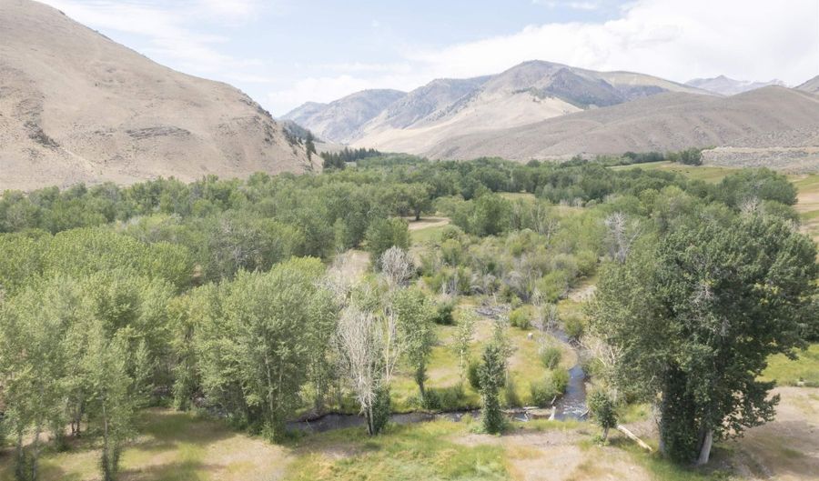9885 Challis Creek Rd, Challis, ID 83226 - 5 Beds, 4 Bath