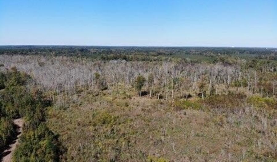 Broxton Bridge Road, Bamberg, SC 29003 - 0 Beds, 0 Bath