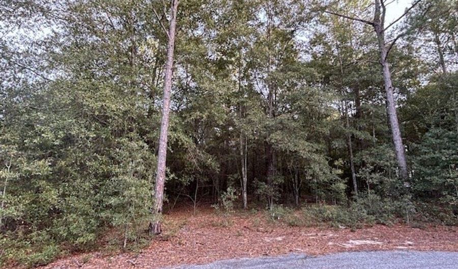Lot 30 Marie Lane, Bainbridge, GA 39817 - 0 Beds, 0 Bath