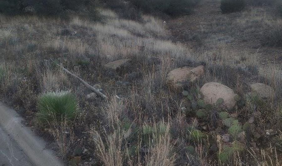 Royal Street, Bayard, NM 88023 - 0 Beds, 0 Bath