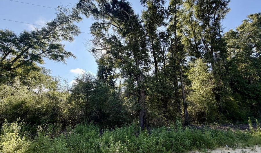 Sorrento Avenue lot 20-22, Alford, FL 32420 - 0 Beds, 0 Bath