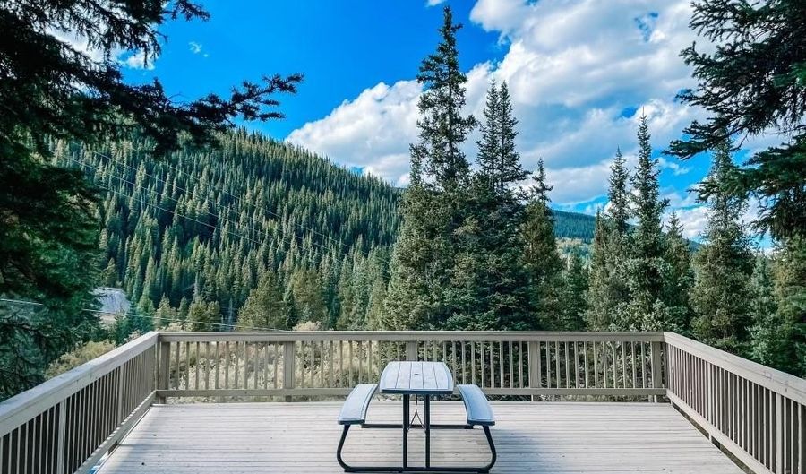 193 Range Rd 1, Breckenridge, CO 80424 - 3 Beds, 2 Bath