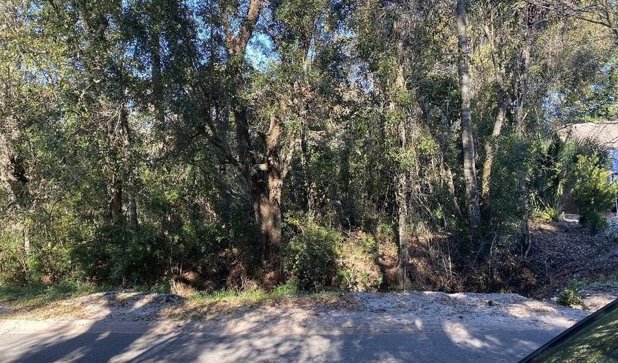 221 17Th St, Apalachicola, FL 32320 - 0 Beds, 0 Bath