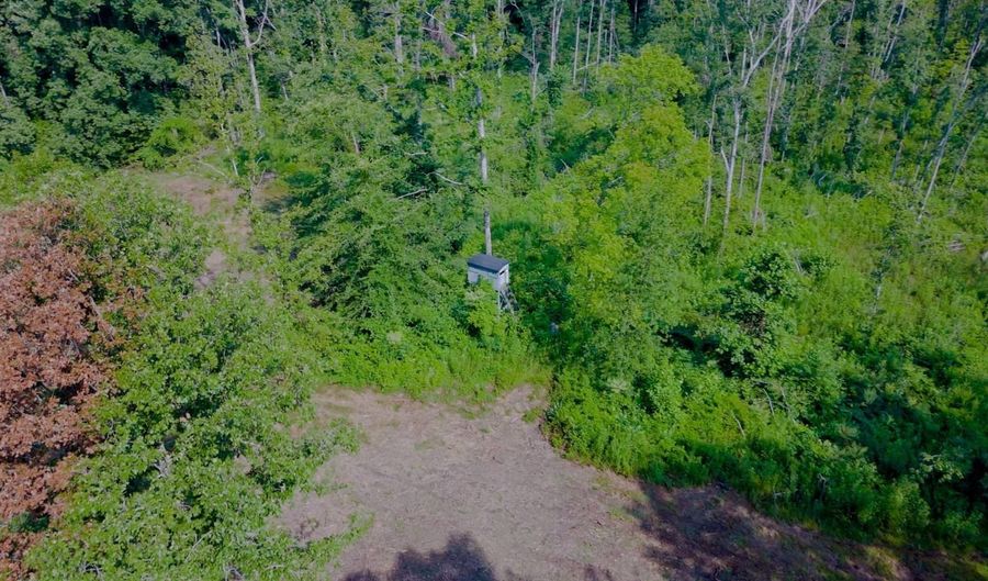 1000 Point Mason Rd, Big Sandy, TN 38221 - 3 Beds, 2 Bath