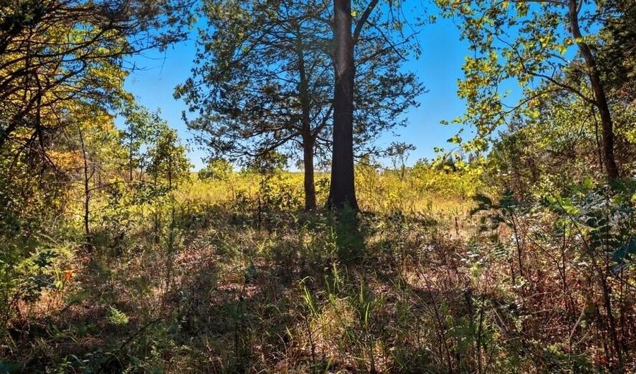 Private Drive 4755, Ava, MO 65608 - 0 Beds, 0 Bath