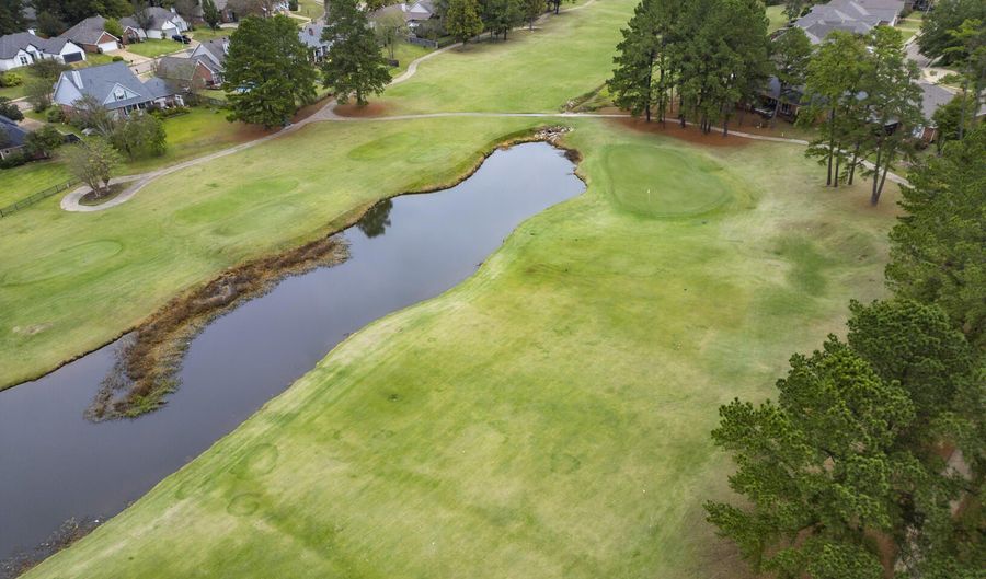 166 Woodlands Glen Cir, Brandon, MS 39047 - 3 Beds, 4 Bath