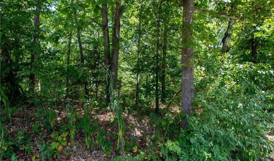14600 Canyon Road Lot 8 & 9, Bella Vista, AR 72715 - 0 Beds, 0 Bath