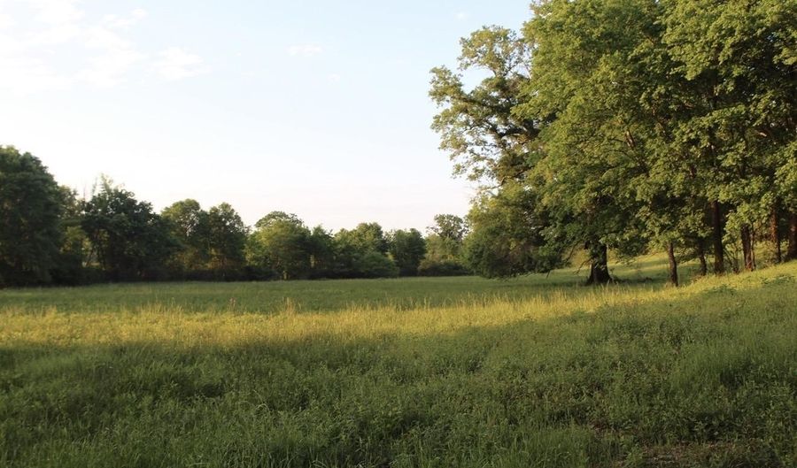 299 Tract 2 Harmony, Amity, AR 71921 - 0 Beds, 0 Bath