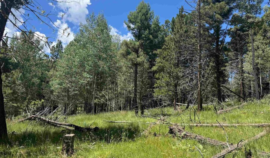 Calle de los Indios lot 44, Angel Fire, NM 87710 - 0 Beds, 0 Bath