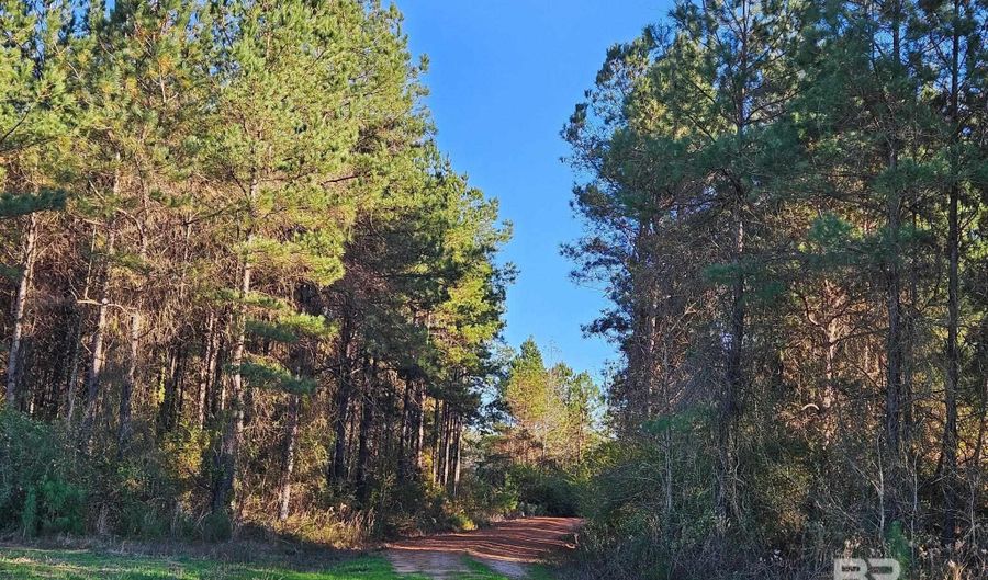 0 Three Mile Rd, Atmore, AL 36502 - 0 Beds, 0 Bath