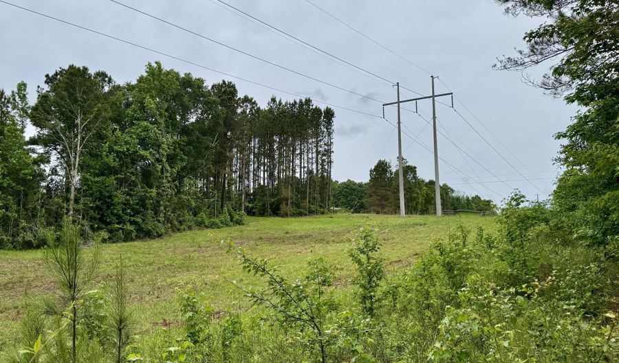 Mount Carmel Road, Bailey, MS 39320 - 0 Beds, 0 Bath