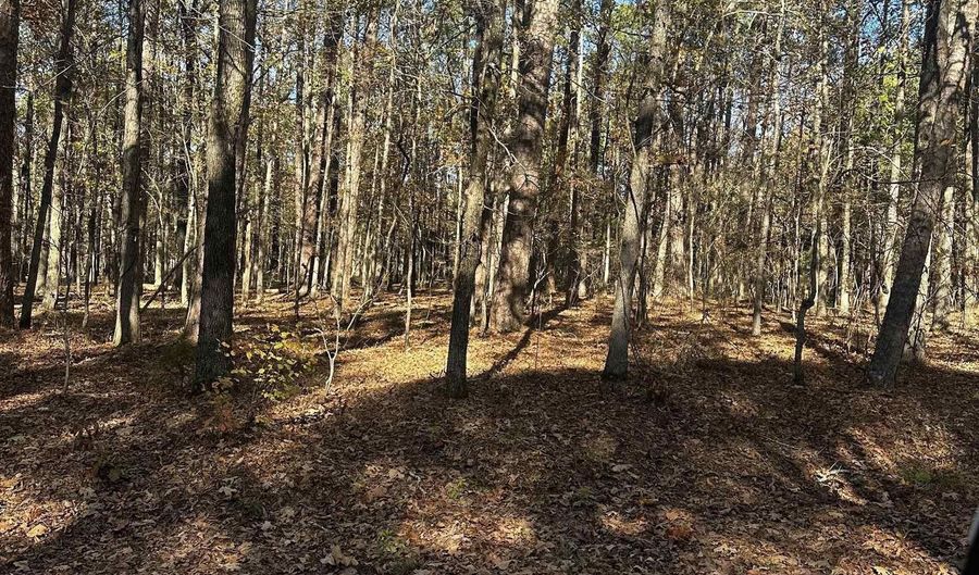 4 Holgar Ln, Hot Springs Village, AR 71909 - 0 Beds, 0 Bath