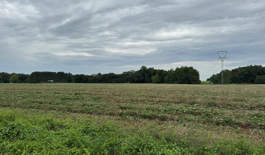 Lot 2 Cowarts Creek Rd, Ashford, AL 36312 - 0 Beds, 0 Bath