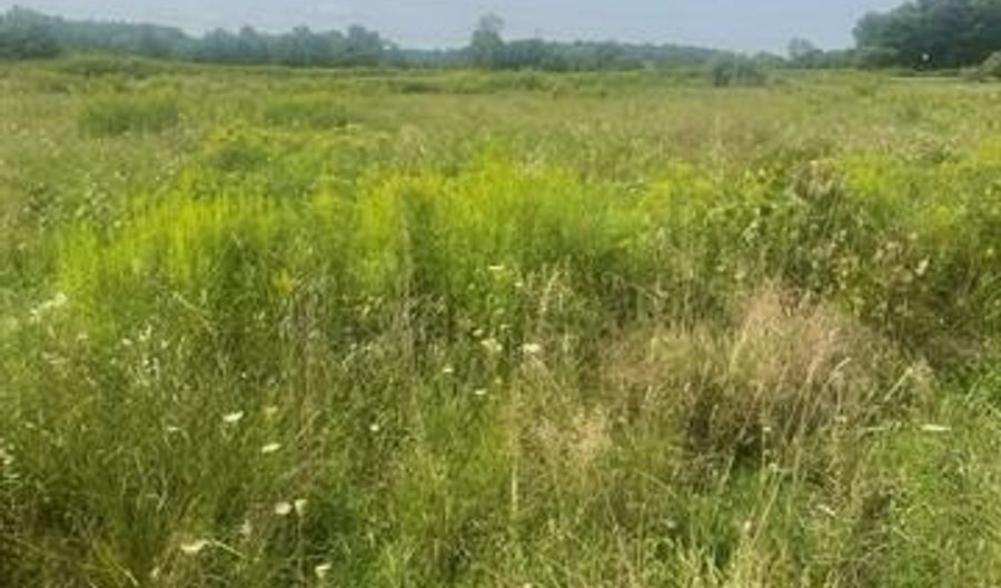 Parcel 2 Deerfield Meadows, Almont, MI 48003 - 0 Beds, 0 Bath