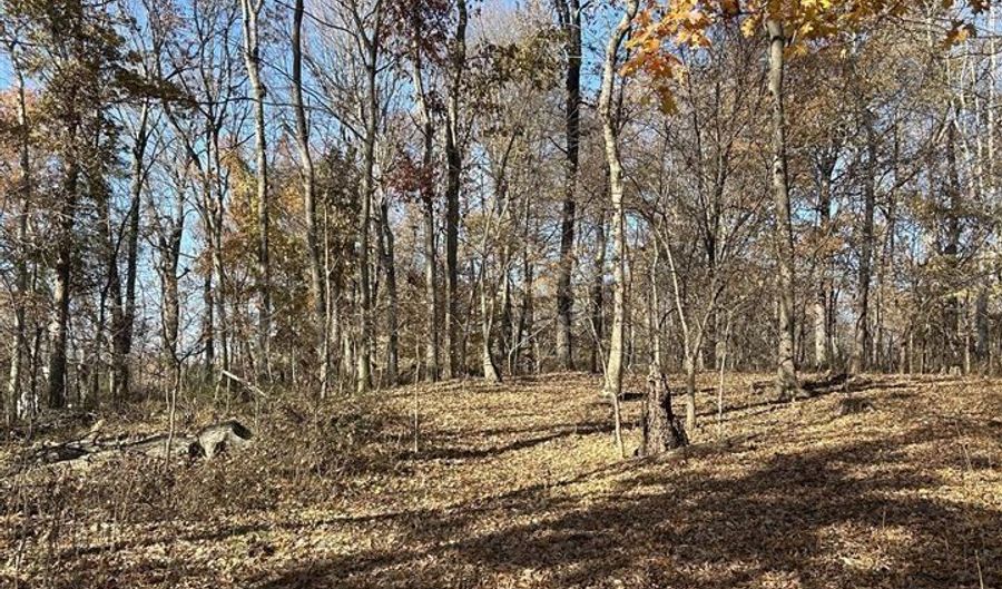 New Cut Road, Alvaton, KY 42122 - 0 Beds, 0 Bath