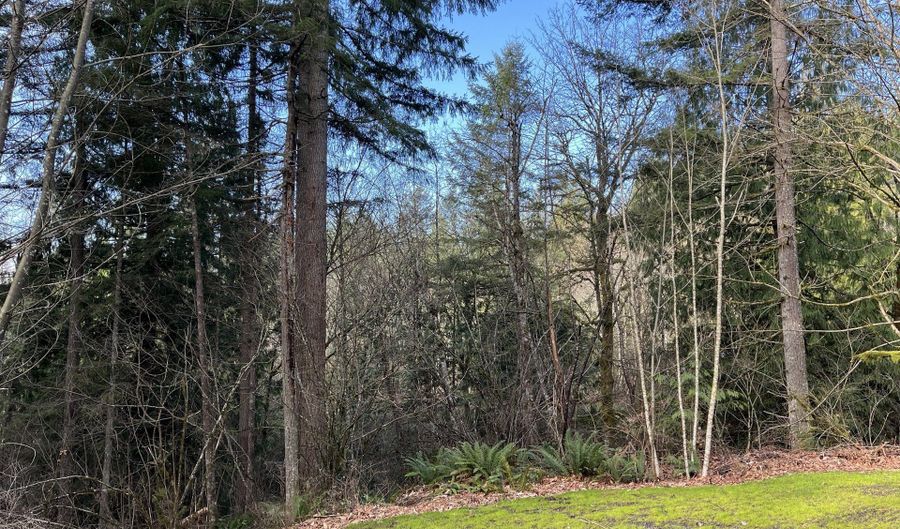 NE SCHAUER Dr, Battle Ground, WA 98604 - 0 Beds, 0 Bath
