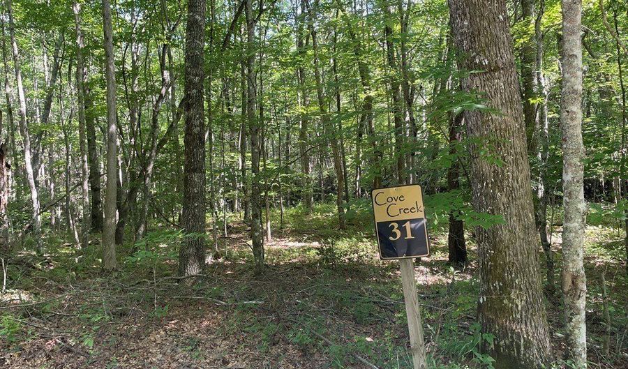 3 Clear Fork Creek Rd 31, Bastian, VA 24314 - 0 Beds, 0 Bath