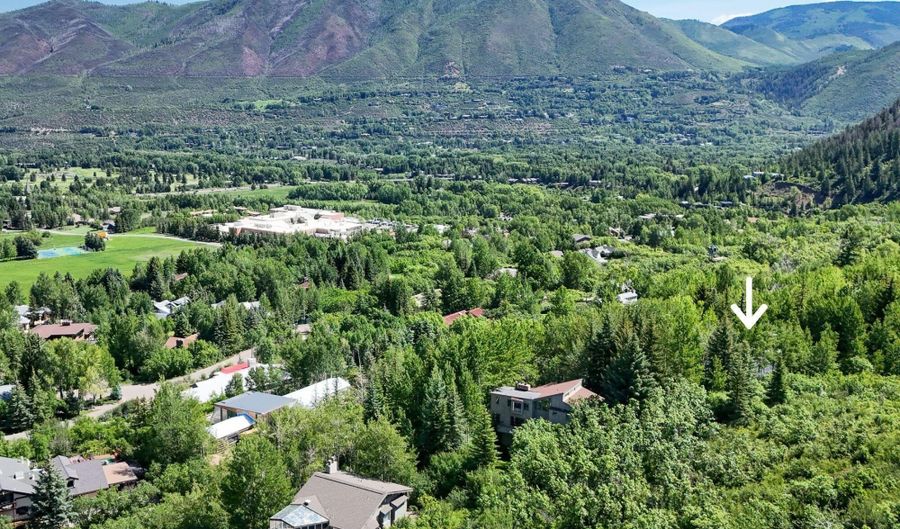 205 LARKSPUR Ln, Aspen, CO 81611 - 6 Beds, 7 Bath