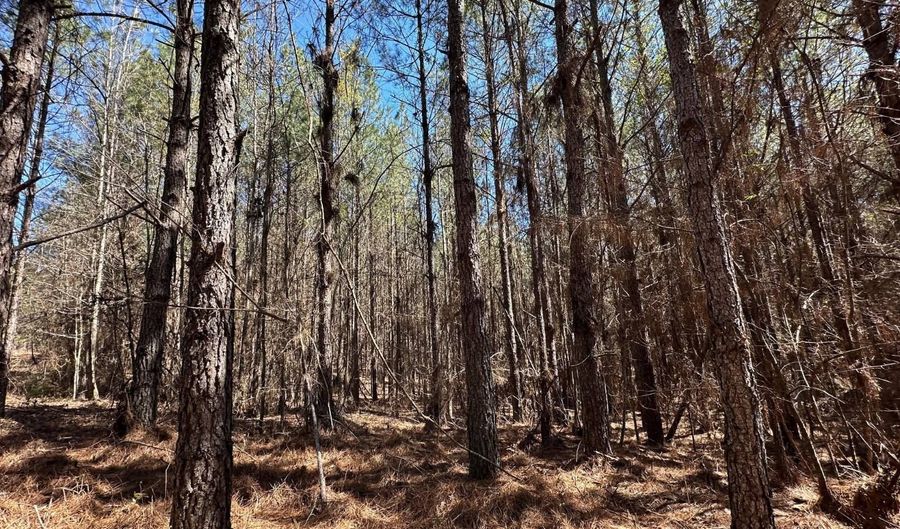 2 County Road 5112, Ethel, MS 38829 - 0 Beds, 0 Bath
