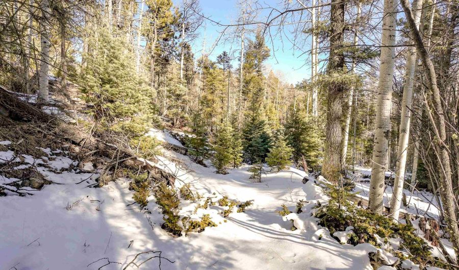 45 And 46 Sacramento Dr, Angel Fire, NM 87710 - 0 Beds, 0 Bath