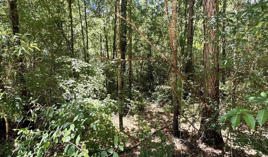 Linda St, Andalusia, AL 36421 - 0 Beds, 0 Bath