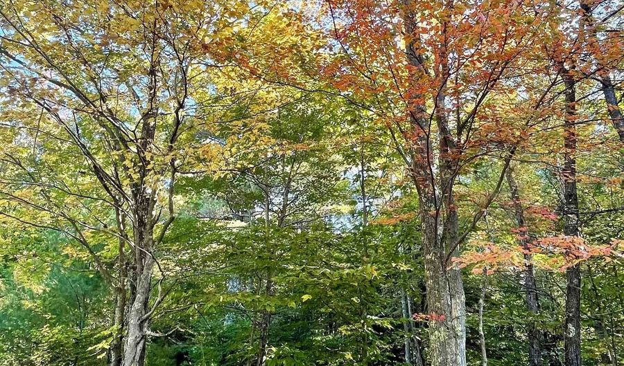 19 Barbara Dr, Alton, NH 03810 - 2 Beds, 1 Bath
